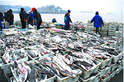 水产评估虾圈养殖污染司法鉴定赔偿评估公司